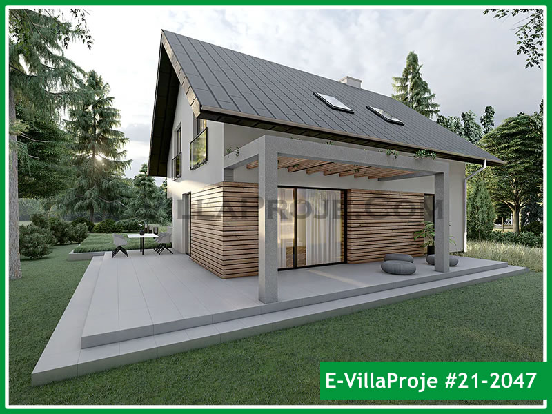 Ev Villa Proje #21 - 2047 Ana Görsel