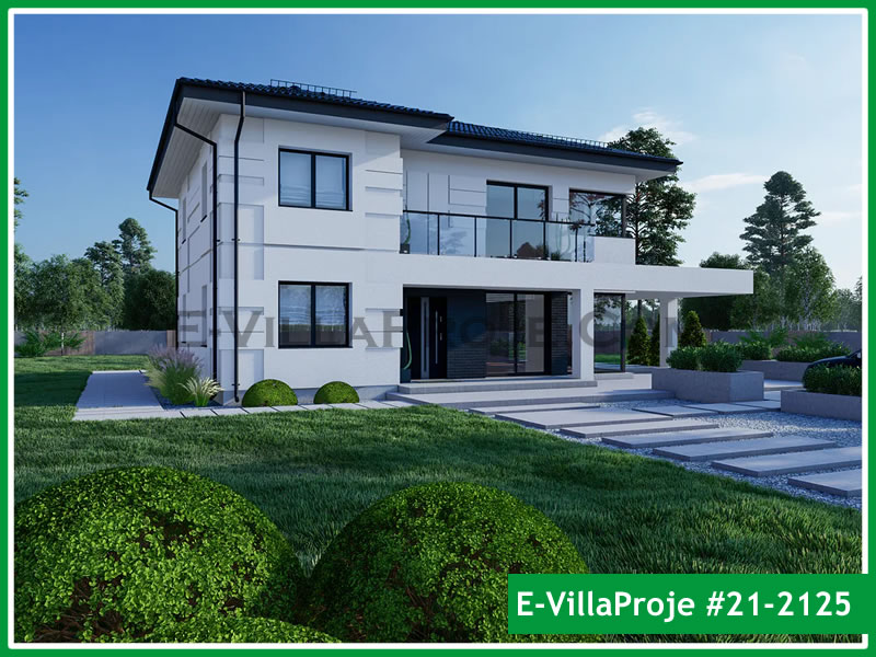 Ev Villa Proje #21 - 2125 Ana Görsel