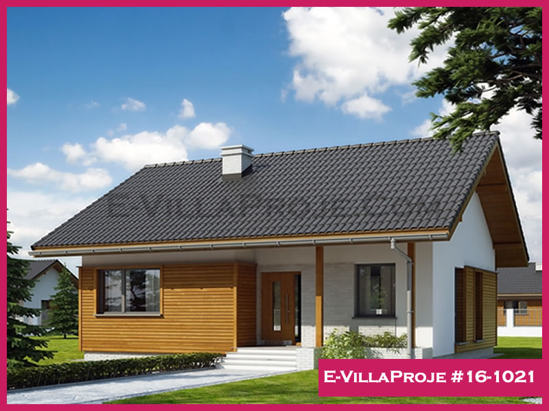 Ev Villa Proje #16 - 1021 Ana Görsel